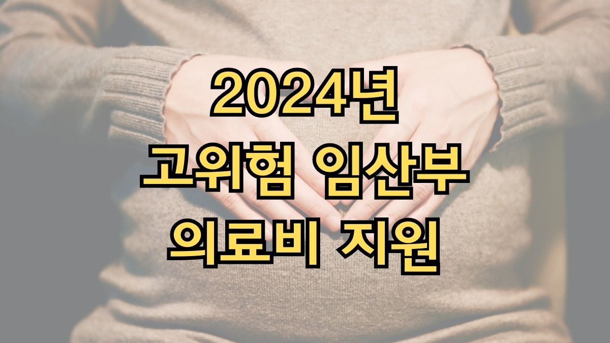 2024년 고위험 임산부 의료비 지원