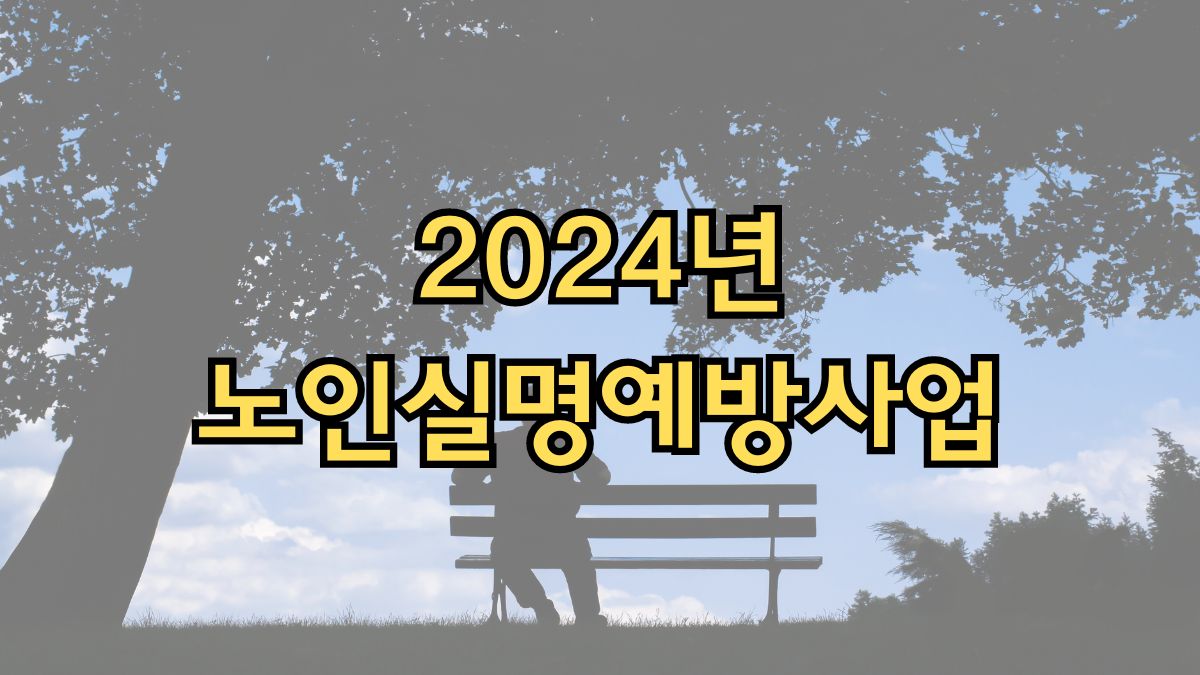 2024년 노인실명예방사업