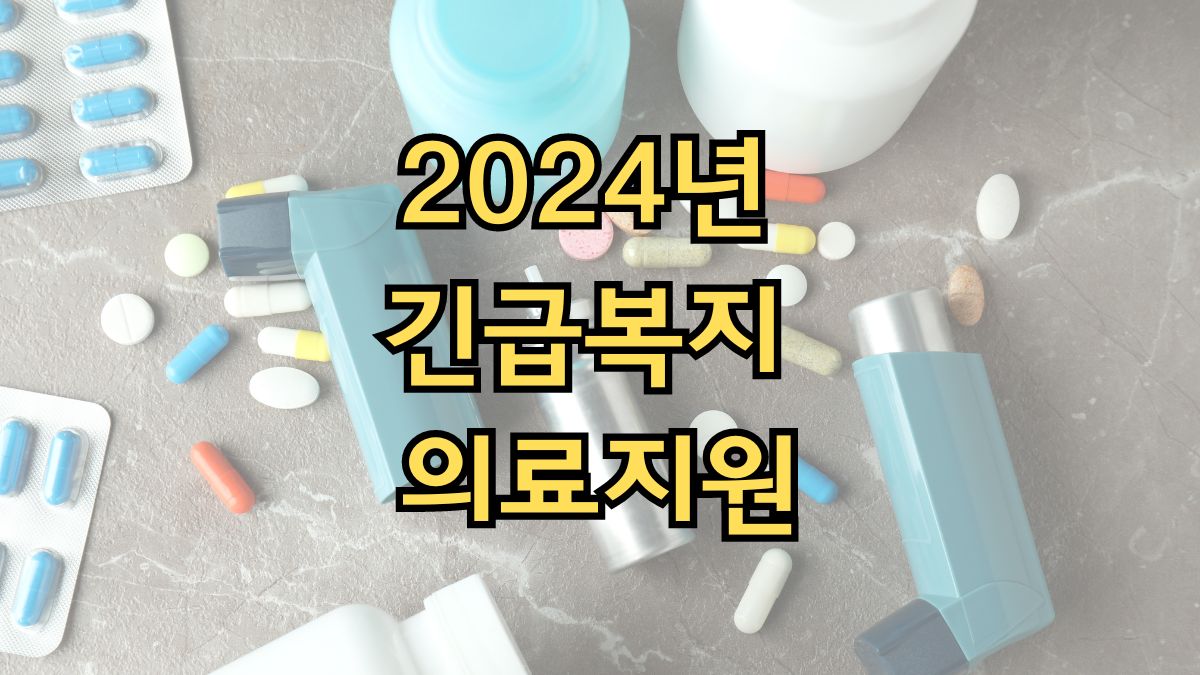 2024년 긴급복지 의료지원