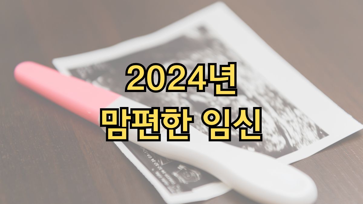 2024년 맘편한 임신