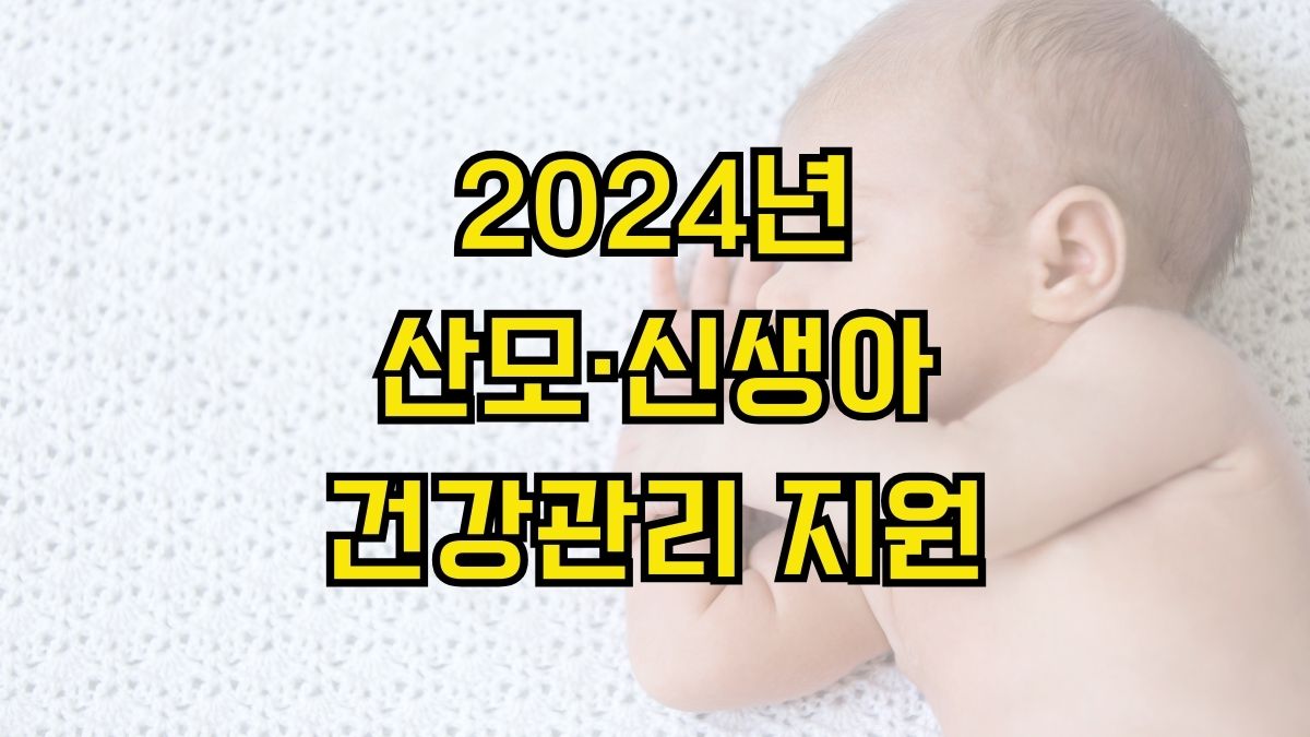 2024년 산모·신생아 건강관리 지원