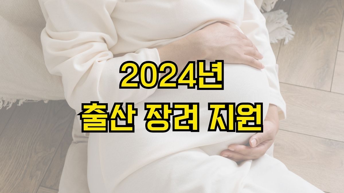 2024년 출산 장려 지원