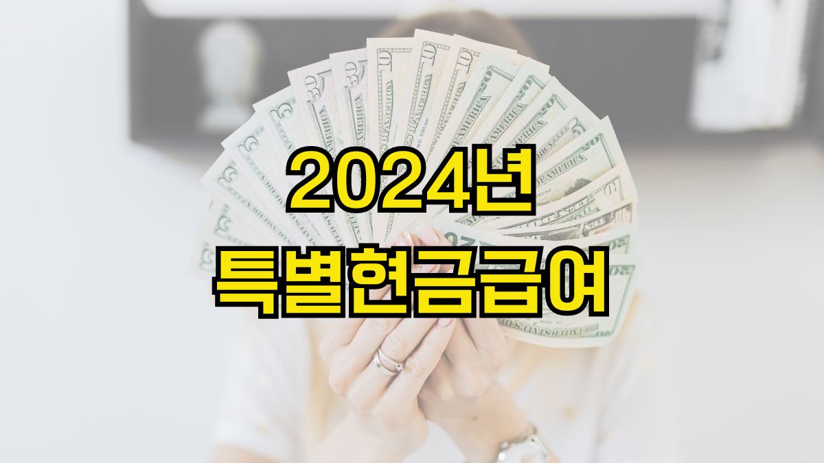 2024년 특별현금급여