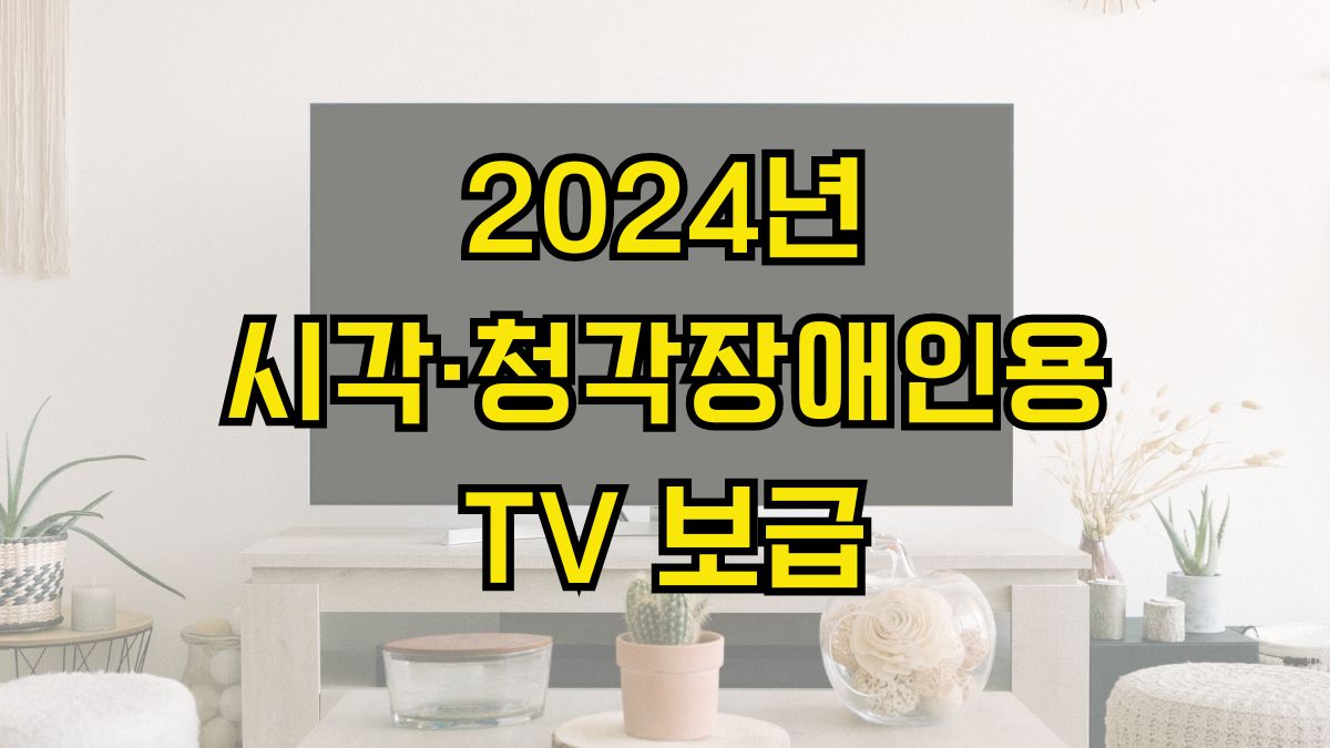 2024년 시각·청각장애인용 TV 보급