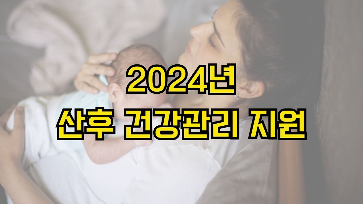 2024년 산후 건강관리 지원