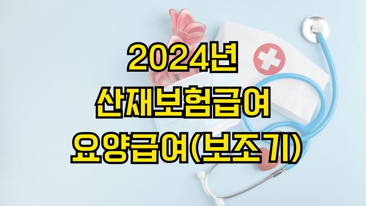 2024년 산재보험급여 요양급여(보조기)