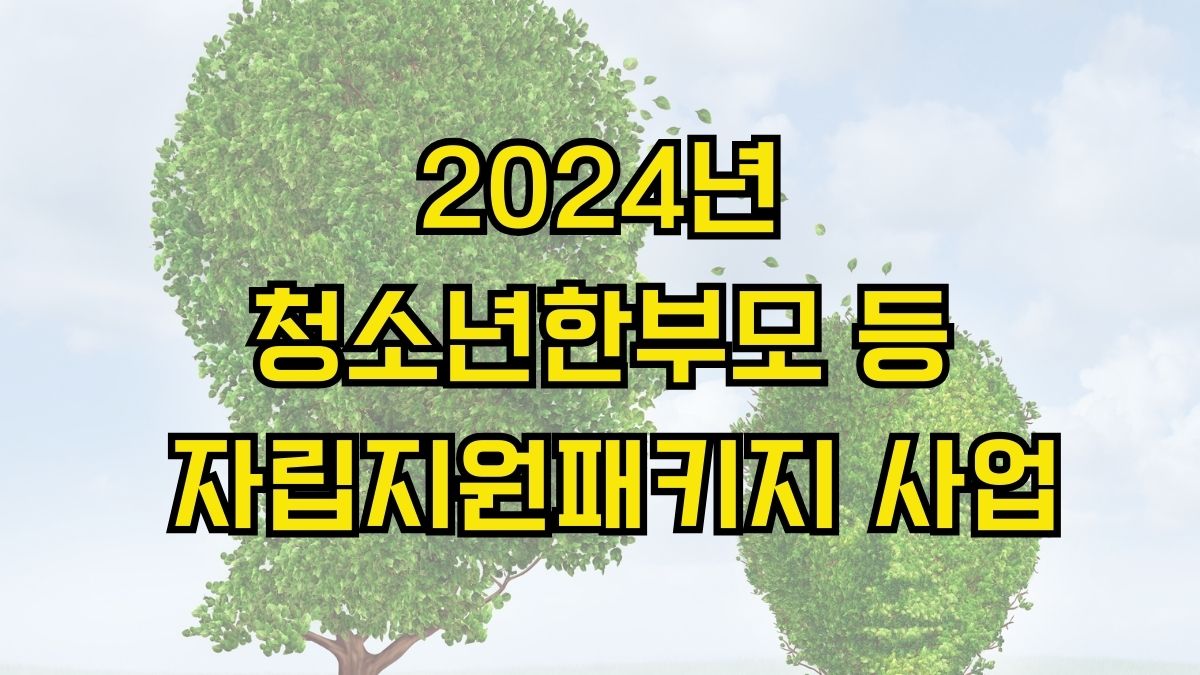 2024년 청소년한부모 등 자립지원패키지 사업