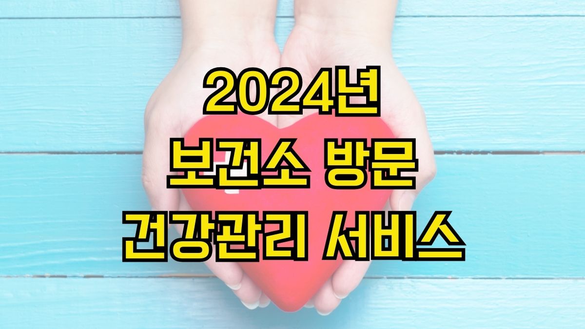 2024년 보건소 방문건강관리 서비스