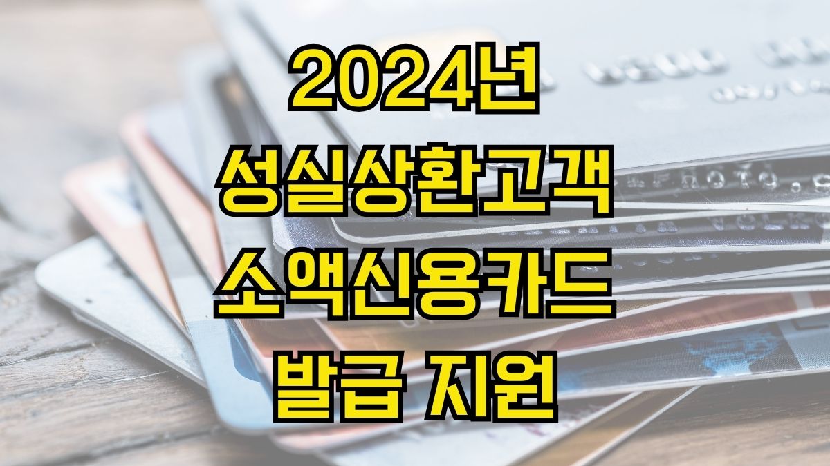 2024년 성실상환고객 소액신용카드 발급 지원