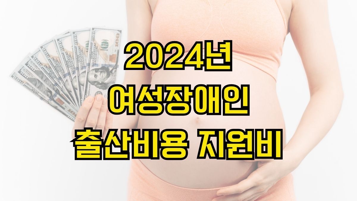 2024년 여성장애인 출산비용 지원비