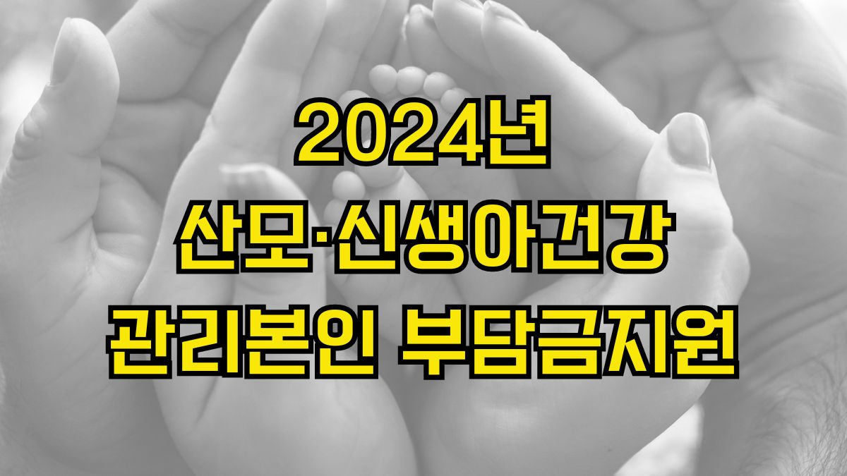 2024년 산모·신생아건강관리본인부담금지원