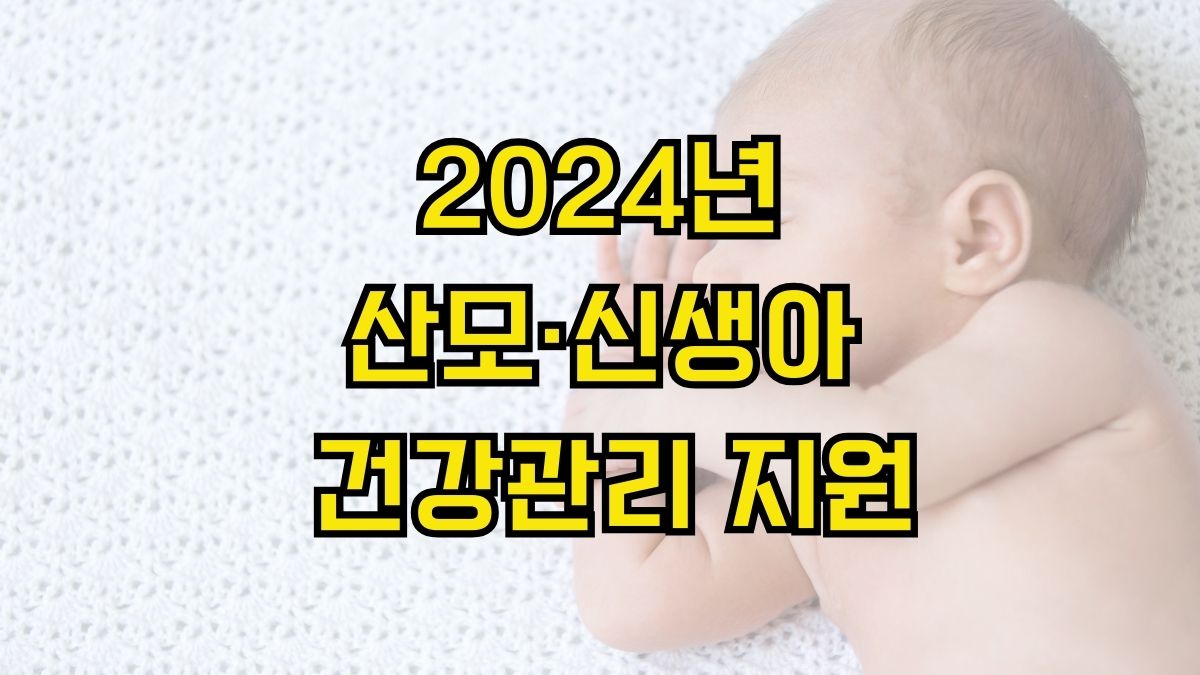 2024년 산모·신생아 건강관리 지원