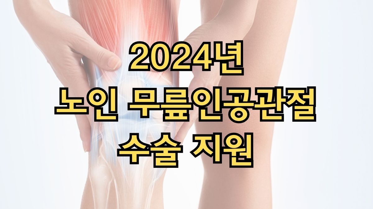 2024년 노인 무릎인공관절 수술 지원