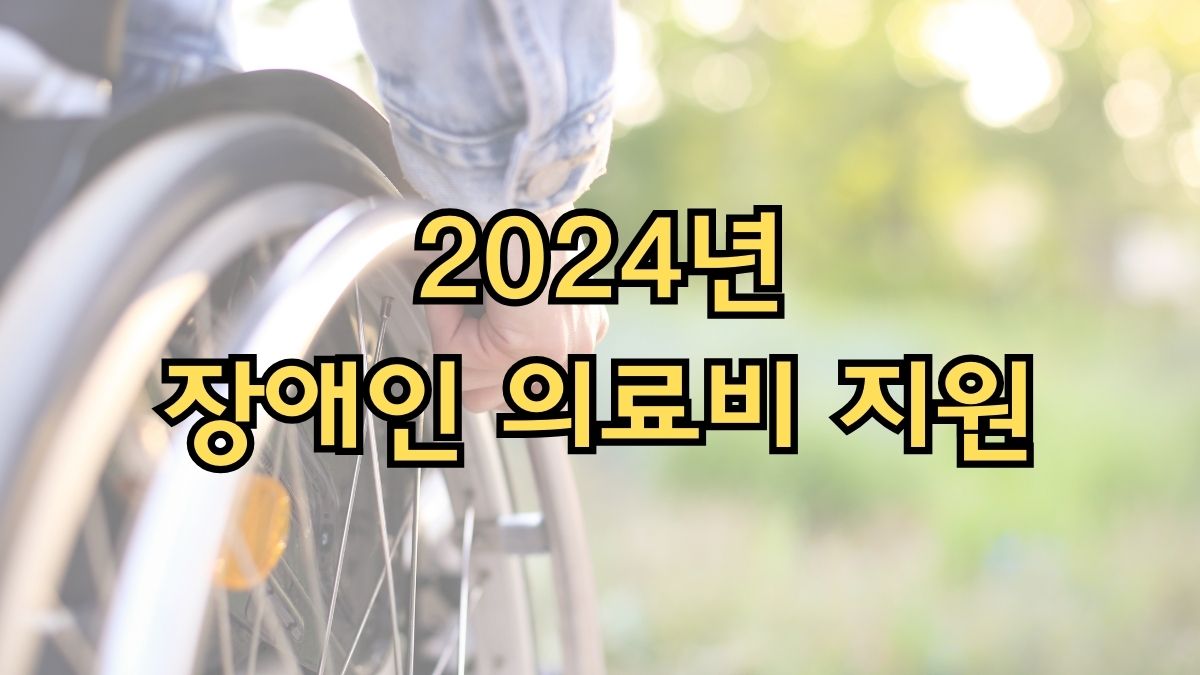 2024년 장애인 의료비 지원