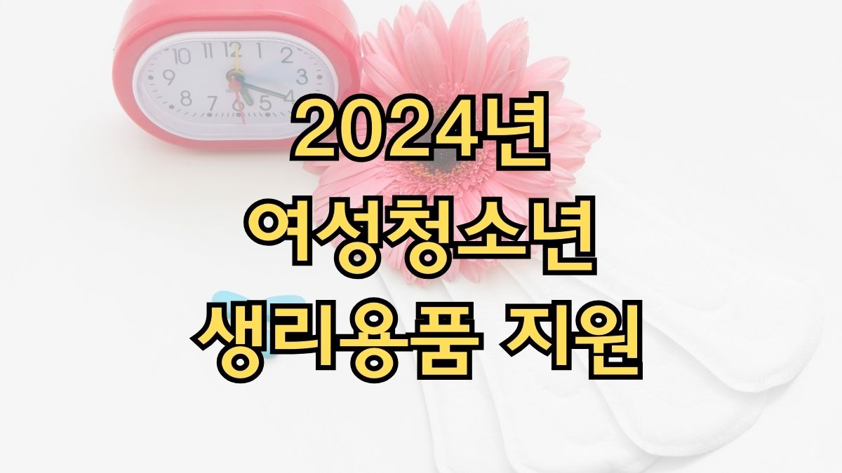 2024년 여성청소년 생리용품 지원