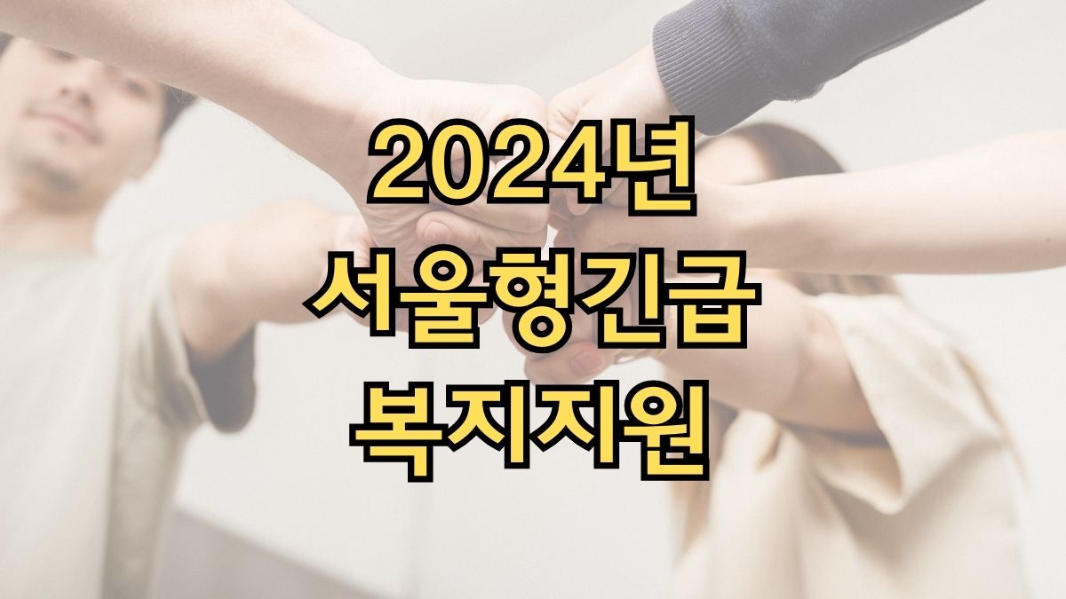 2024년 서울형긴급복지지원