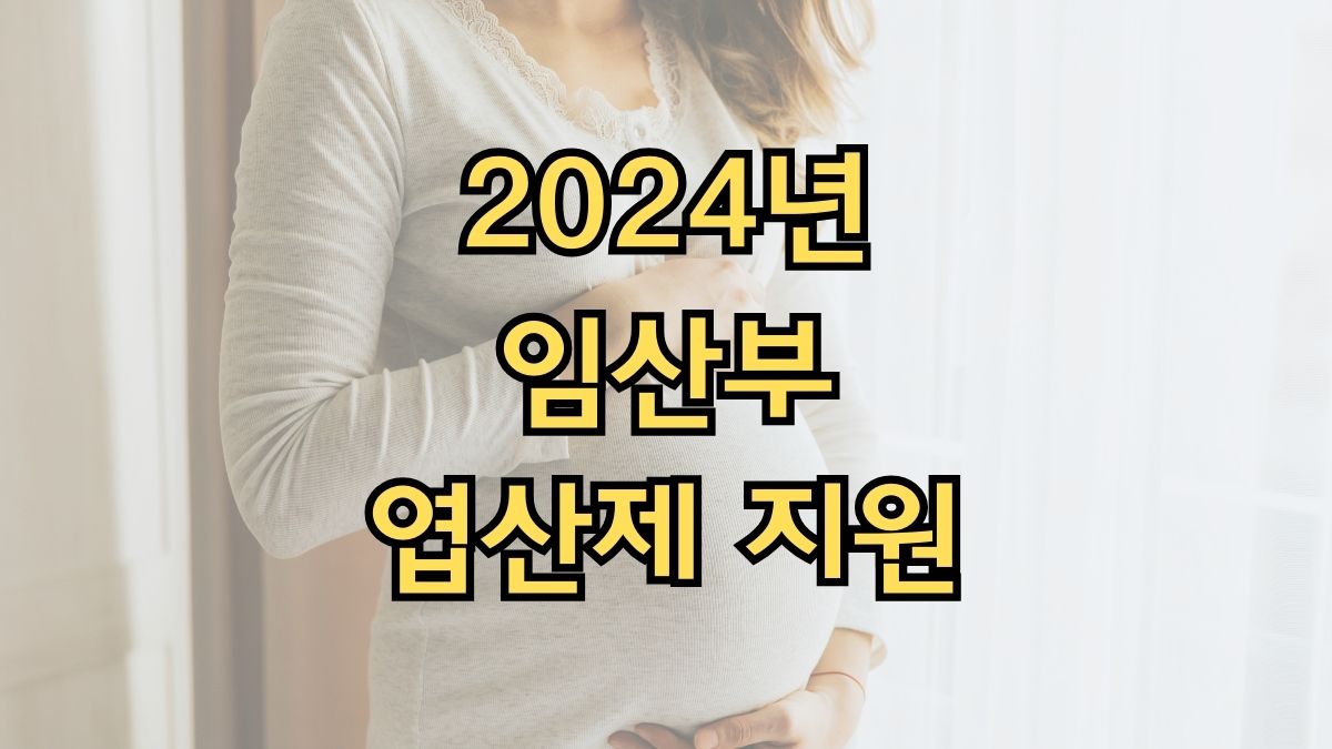 2024년 임산부 엽산제 지원