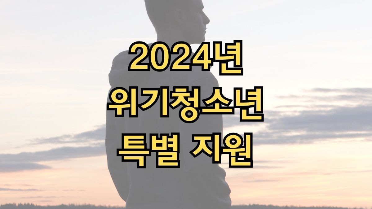 2024년 위기청소년 특별 지원