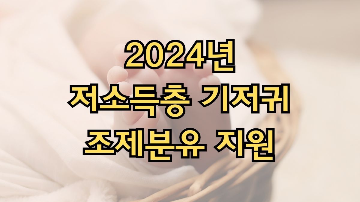 2024년 저소득층 기저귀·조제분유 지원