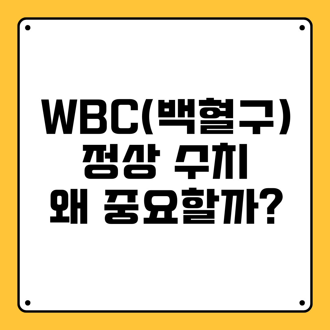 WBC(백혈구) 정상 수치