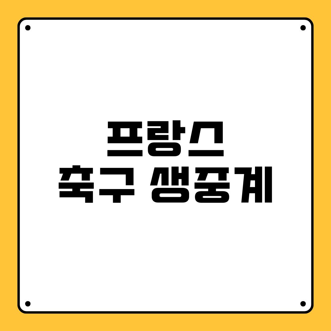 프랑스 축구 생중계