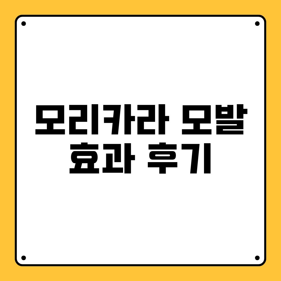 모리카라 모발 효과 후기