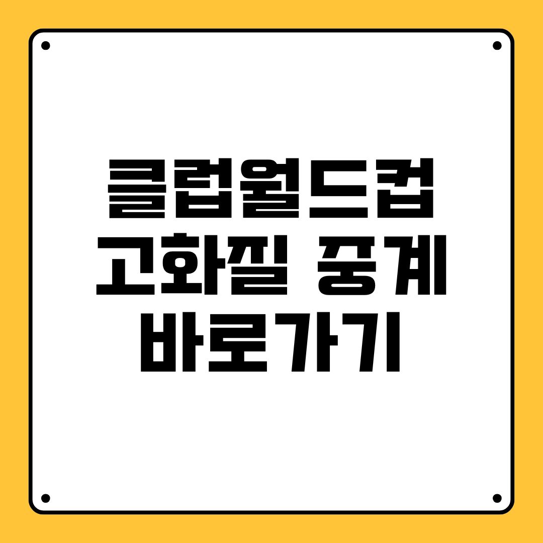 클럽월드컵 고화질 중계 바로가기