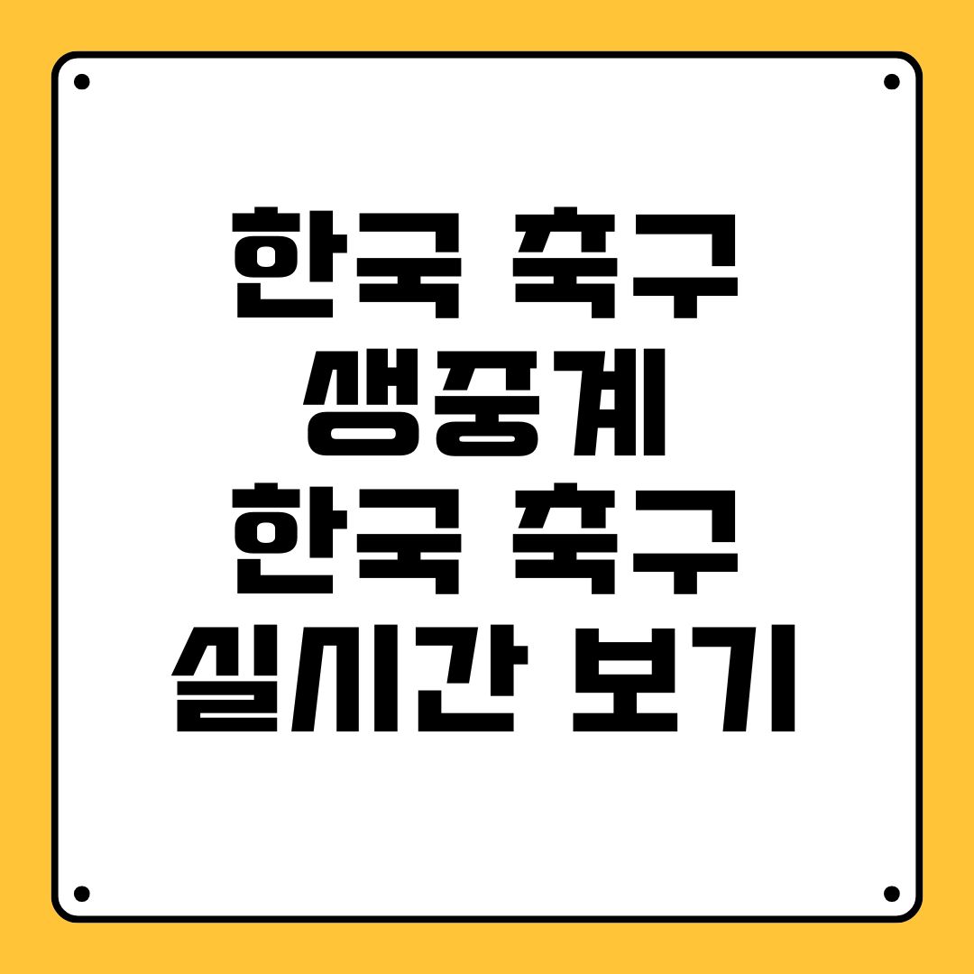 한국 축구 생중계 한국 축구 실시간 보기