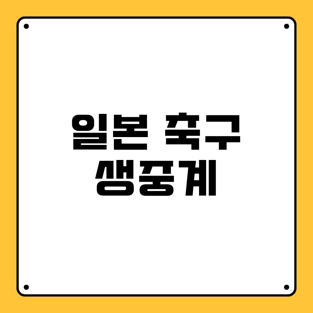 일본 축구 생중계