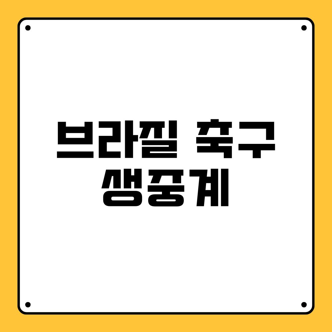 브라질 축구 생중계
