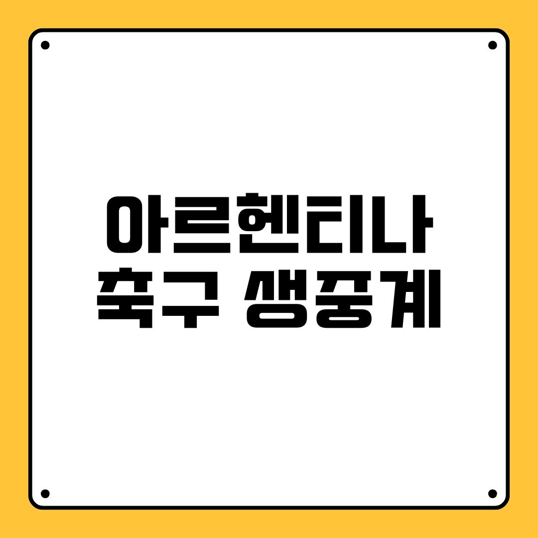 아르헨티나 축구 생중계