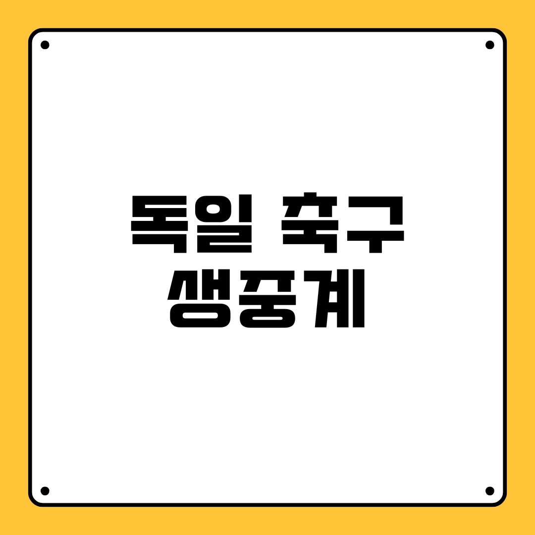 독일 축구 생중계