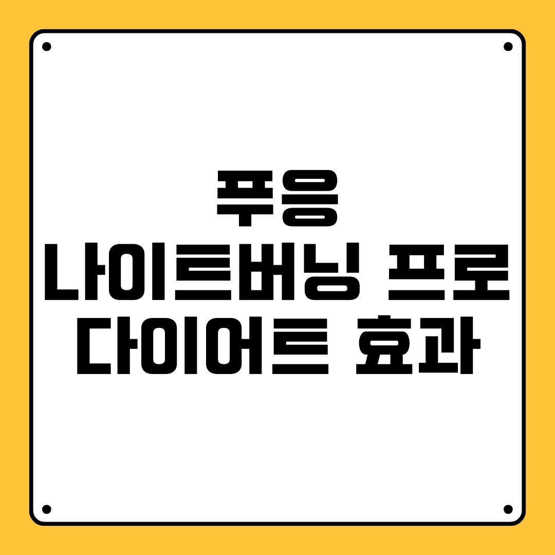 푸응 나이트버닝 프로 다이어트 효과