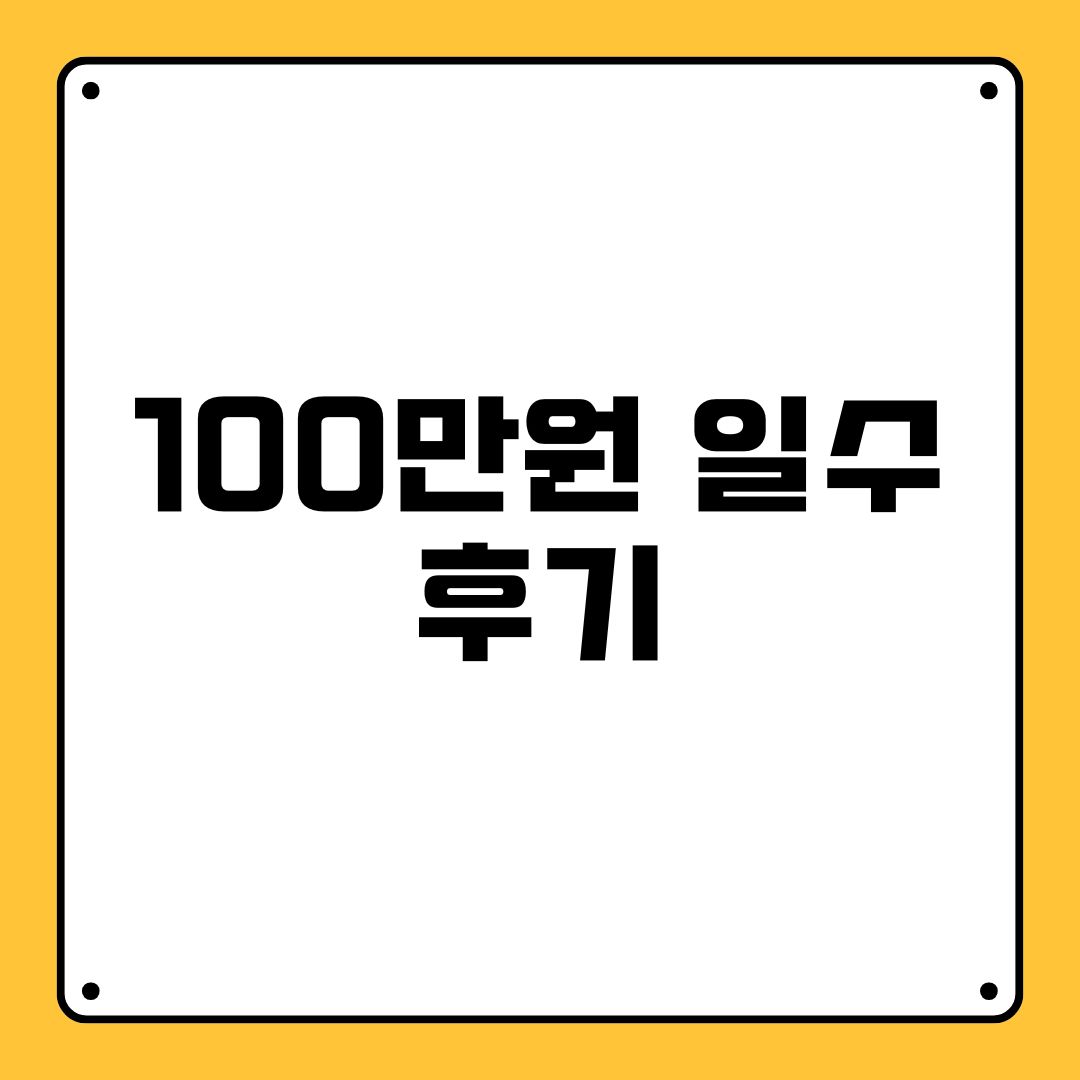 100만원 일수 후기