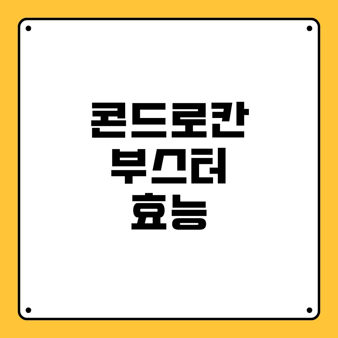 콘드로칸 부스터 효능