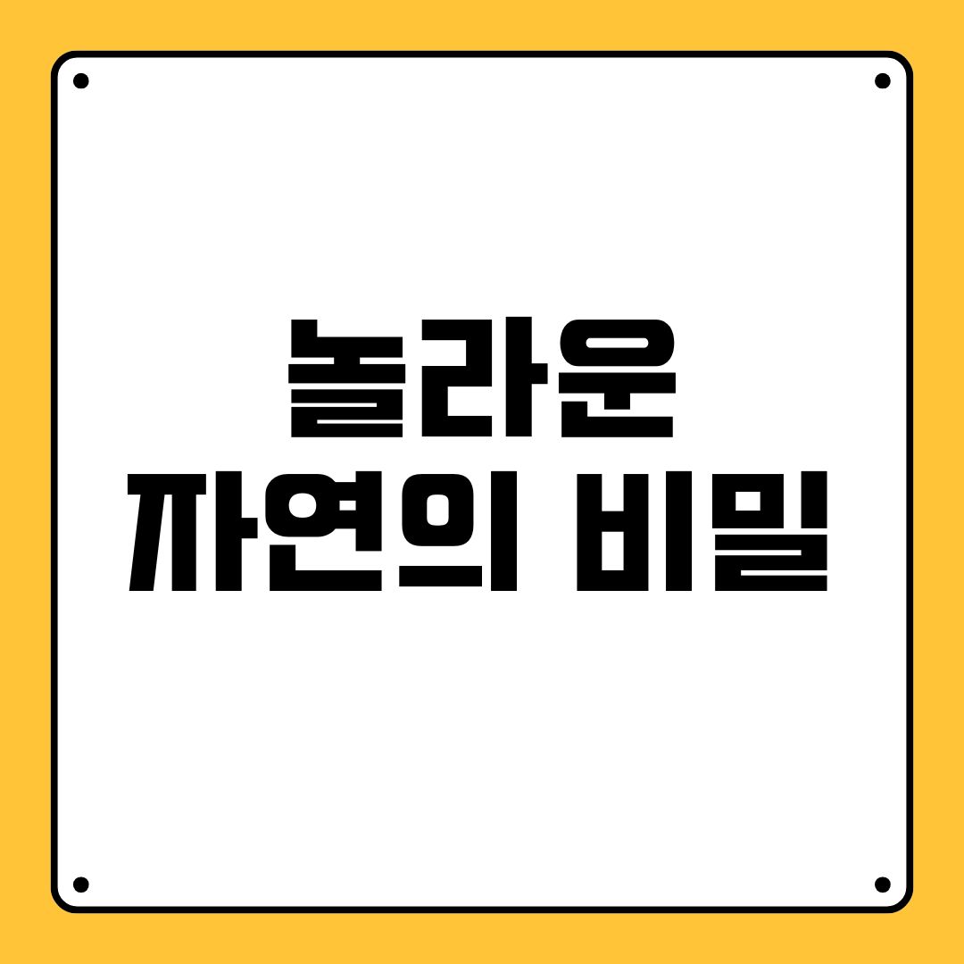 놀라운 자연의 비밀놀라운 자연의 비밀