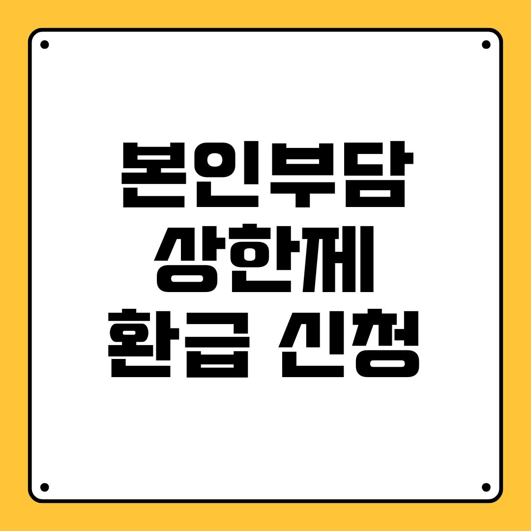 본인부담상한제 환급 신청
